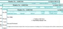 IT CV / Resume Search Directory